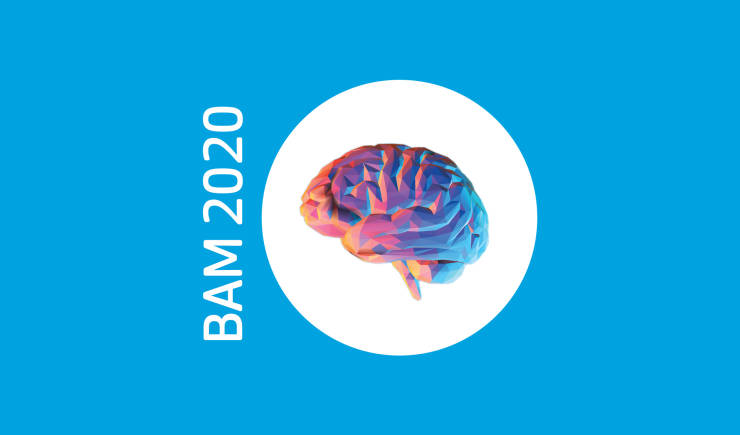 Brain Awareness Month 2020: Palmerston North