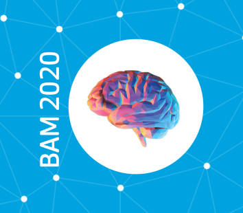 BAM Website v v2.2