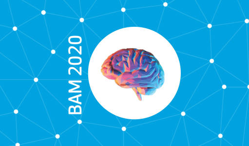 Brain Awareness Month 2020: Palmerston North