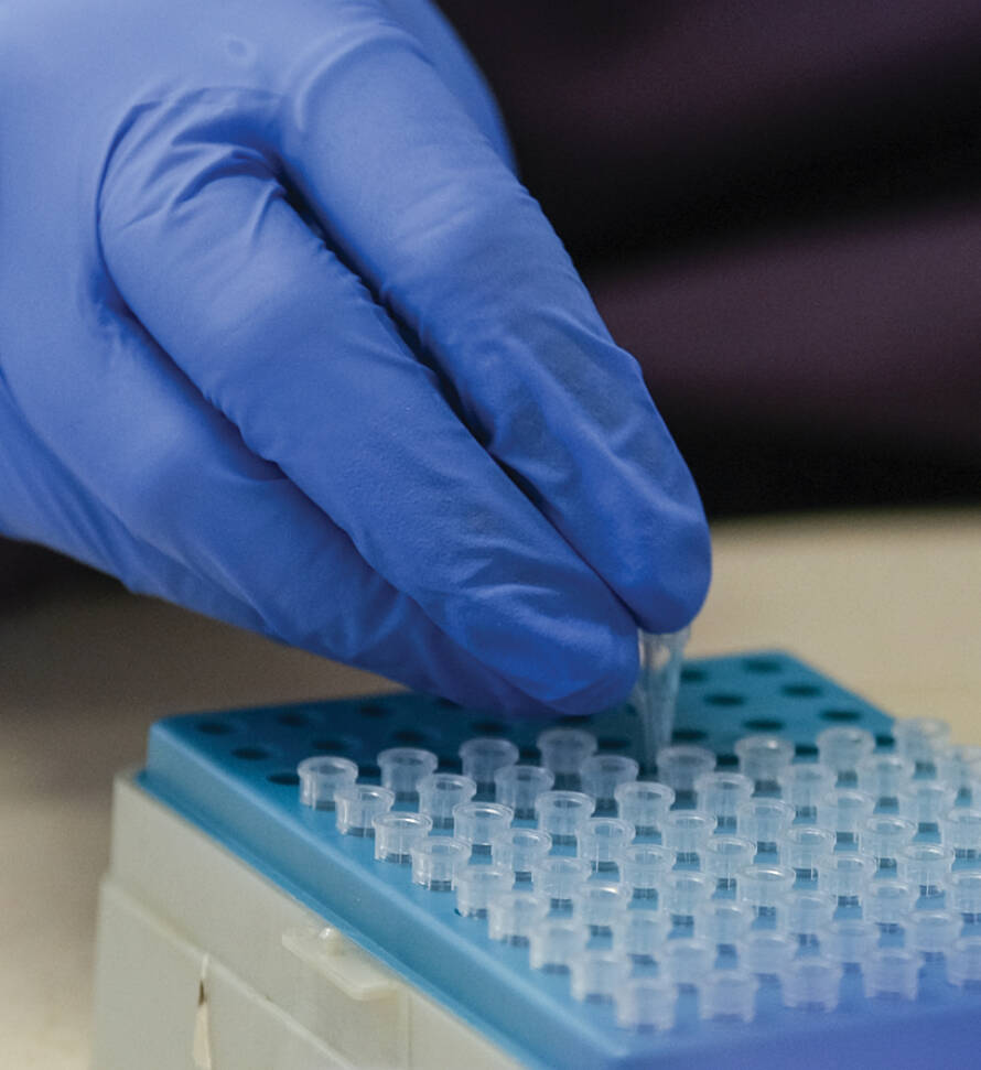 Funding opportunities | Neurological Foundation